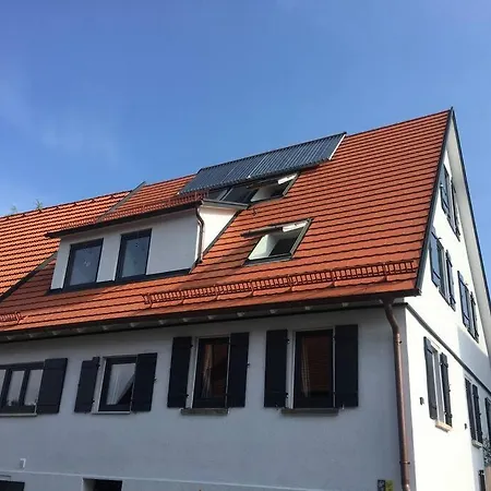 Beautiful Big House With Garden Apartament *