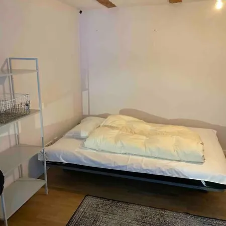 Apartament Beautiful Big House With Garden Tybinga