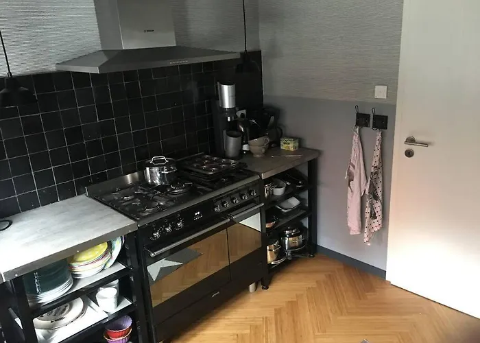 Beautiful Big House With Garden