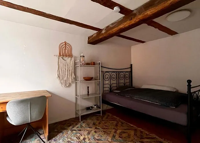 Beautiful Big House With Garden *